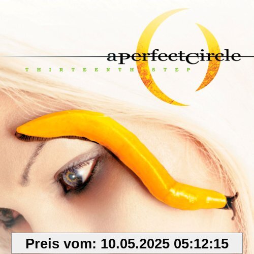 Thirteenth Step Thirteenth Step von A Perfect Circle
