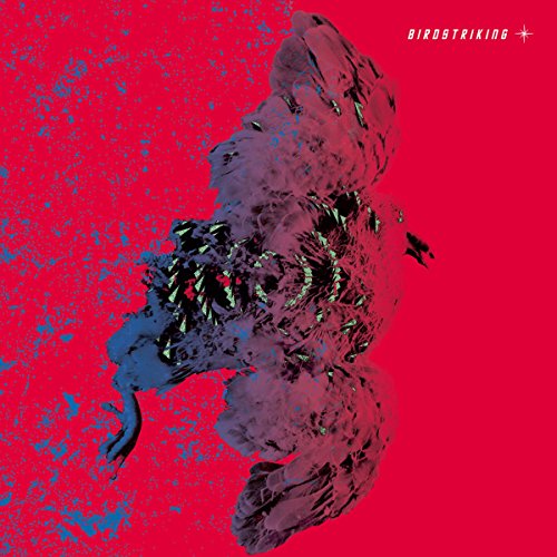 Birdstriking [Vinyl LP] von A RECORDINGS