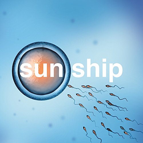 The Sun Ship [Vinyl Single] von A RECORDINGS