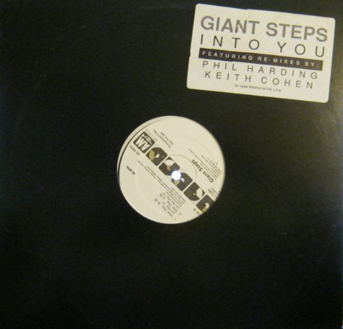Into You (x2+1) [Vinyl Single] von A & M