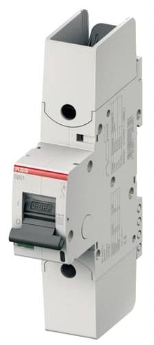 ABB 2CCF019014R0001 S801HV-K50 Leitungsschutzschalter 50A 1000V von ABB