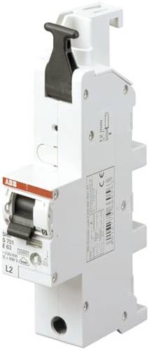 ABB 2CDS781001R7632 S751-E63L3 Hauptleitungsschutzschalter 1polig ABB 2CDS781001R7632 S751-E63L3 Hauptleitungsschutzschalter 1polig von ABB