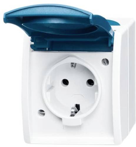ABB 2CKA002083A0818 Schutzkontakt-Steckdose IP44 Lichtgrau (RAL 7035), Blau-Grün von ABB