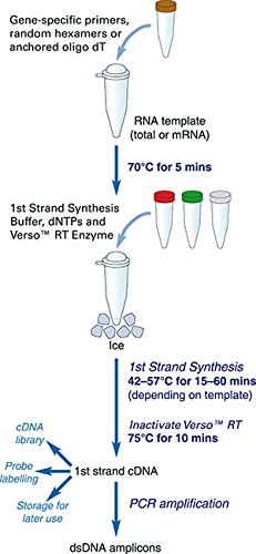 ABGENE 017252 Verso 1-Step Kit avec Thermo-Start, 200 x 50 µL von ABGENE