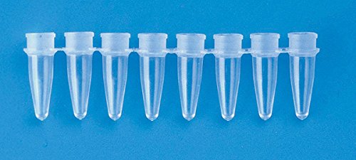 ABGENE 16175 8 capuchons seuls pour microtubes PCR quantitative (Pack de 120) von ABGENE