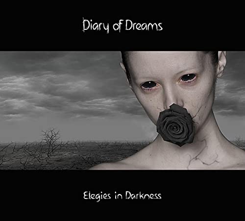 Elegies in Darkness von ACCESSION