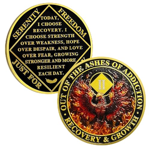 ACGZQY Na Medaille - 2 Jahr Phoenix Na Nüchternheitschip Wiedergeboren aus Feuer NA Medaillen Sober-Münze Anonyme Drogenabhängige Genesung Sucht-Token NA Geschenke ACGZQY Na Medaille - 2 Jahr Phoenix Na Nüchternheitschip Wiedergeboren aus Feuer NA Medaillen Sober-Münze Anonyme Drogenabhängige Genesung Sucht-Token NA Geschenke von ACGZQY