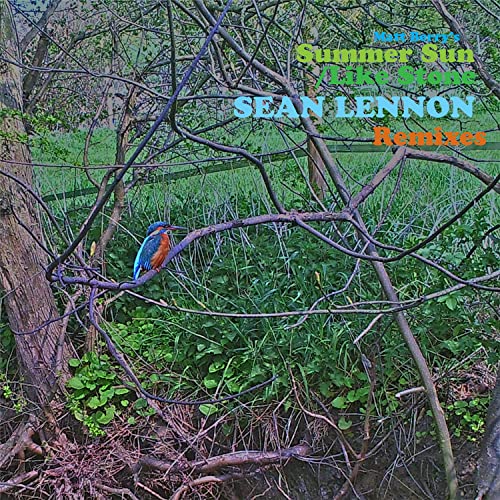 Summer Sun / Like Stone [Vinyl Single] von ACID JAZZ UK