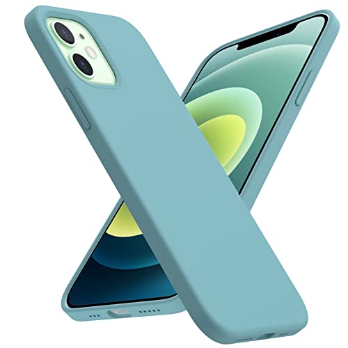 ACRONIX Hülle Kompatibel mit iPhone iPhone 12/ iPhone 12 Pro (6,1"),Liquid Silicone Caser,360° Voll abgedeckte stoßfeste Handyhülle für iPhone 12-Kaktus von ACRONIX