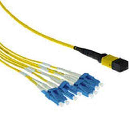 ACT 1 Meter Singlemode 9/125 OS2 fanout patchcable 1 X MTP Female - 6 X LC Duplex 12 fibers ACT 1 Meter Singlemode 9/125 OS2 fanout patchcable 1 X MTP Female - 6 X LC Duplex 12 fibers von ACT