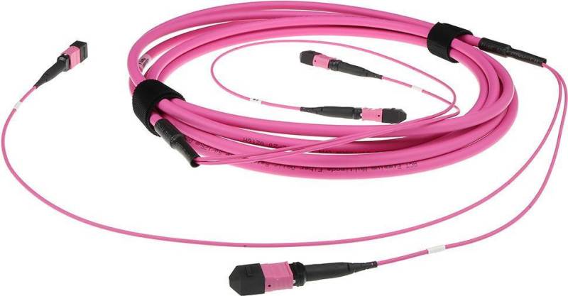 ACT 25 meter Multimode 50/125 OM4(OM3) polarity A fiber trunk cable with 2 MTP/MPO female connectors each side 25M 2X MTP(F) 50/125 OM4 PA TR (DC5206) von ACT