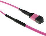 ACT 25 meter Multimode 50/125 OM4(OM3) polarity A fiber trunk cable with MTP/MPO female connectors 25M MTP(F) 50/125 OM4 PA TR (DC5000) von ACT