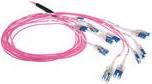 ACT 30 meter Multimode 50/125 OM4 Preterm fiber cable 24F LC Polarity Twist (DC5506) von ACT