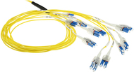 ACT 50 meter Singlemode 50/125 OS2 Preterm fiber cable 24F LC Polarity Twist (DC5560) von ACT