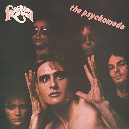 Psychomodo [Vinyl LP] von Warner Music