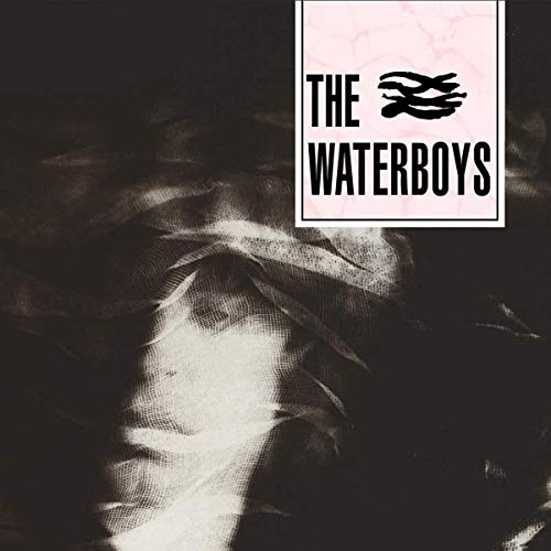 The Waterboys (Expanded) von ADA UK