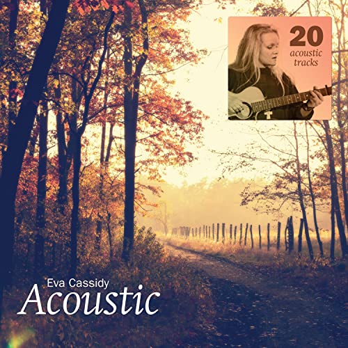 Acoustic (2lp/180 Gr.) [Vinyl LP] von ADA