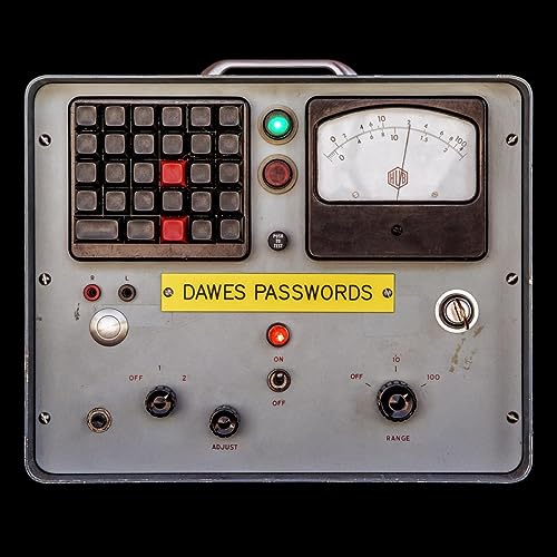 Passwords [Vinyl LP] von ADA