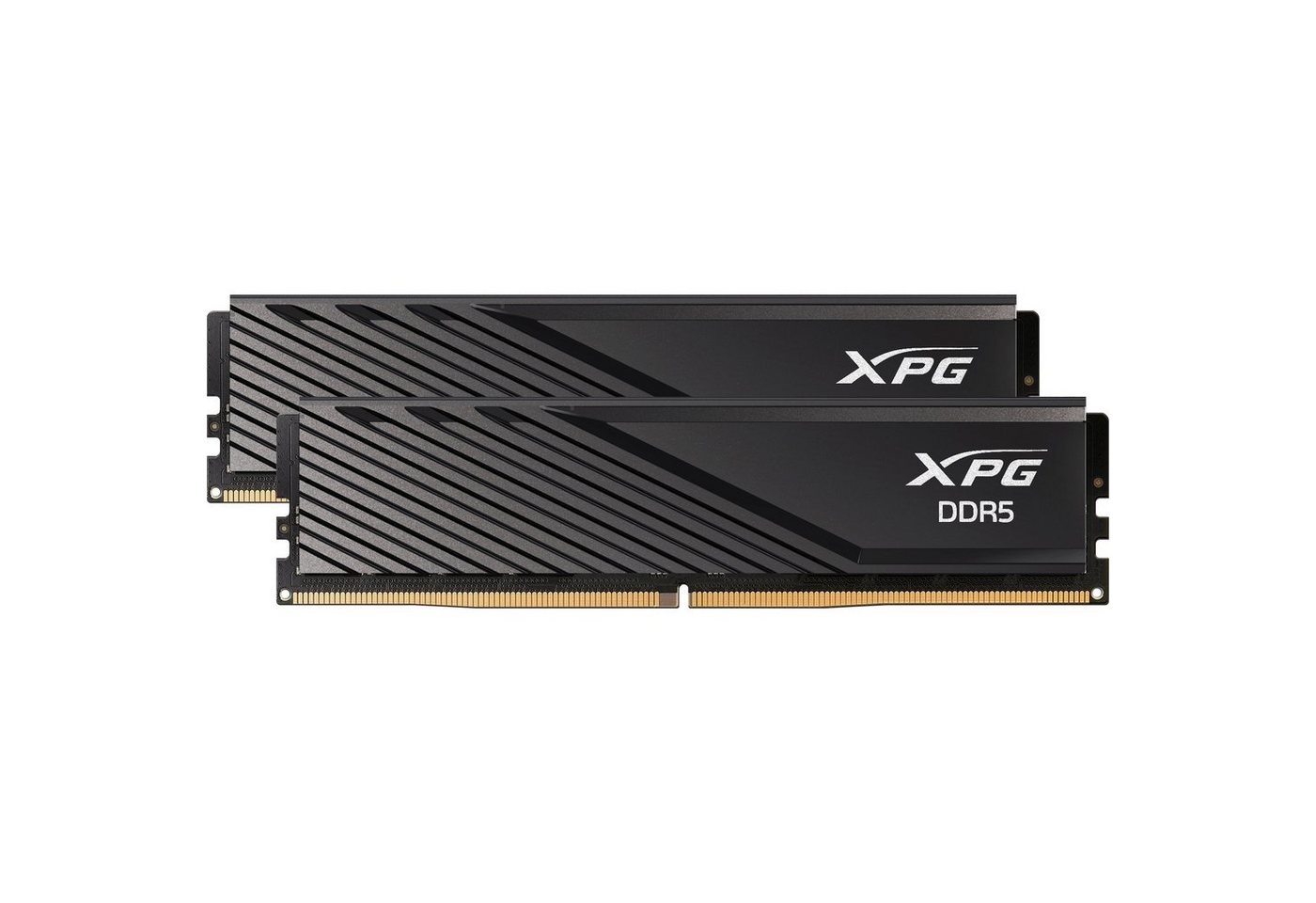 ADATA ADATA DIMM 32 GB DDR5-5600 (2x 16 GB) Dual-Kit, Arbeitsspeicher von ADATA