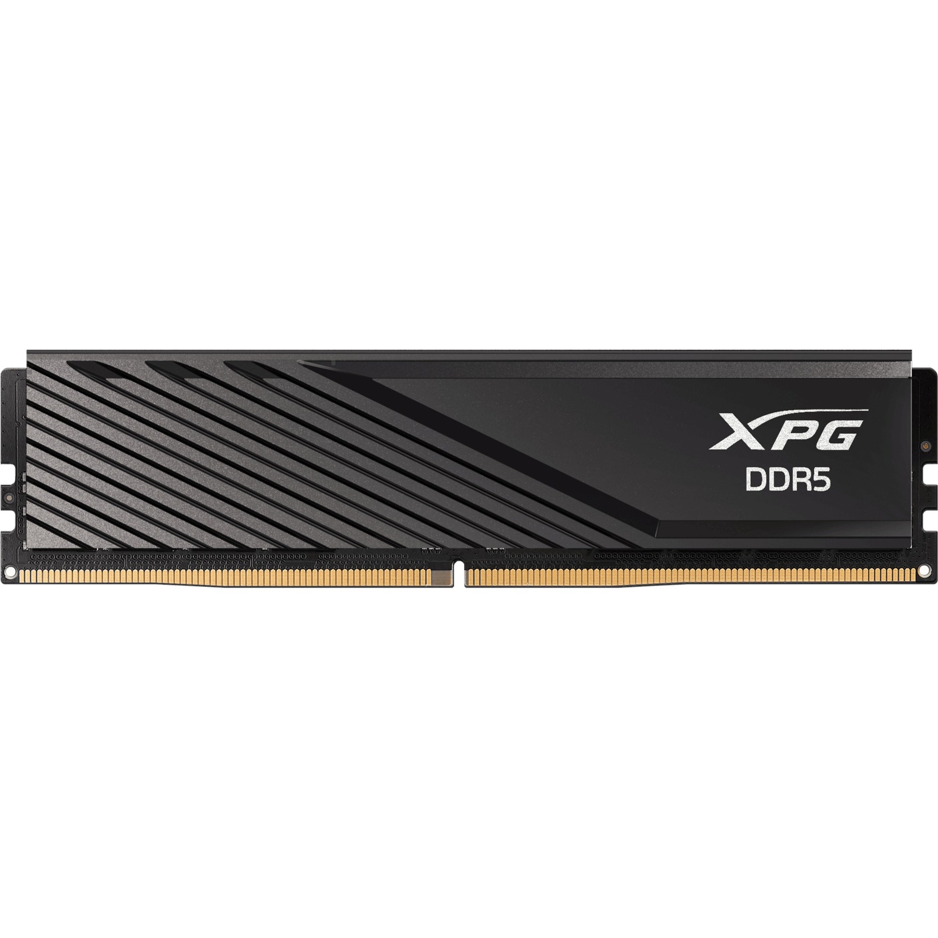 DIMM 16 GB DDR5-6000 (1x 16 GB), Arbeitsspeicher von ADATA