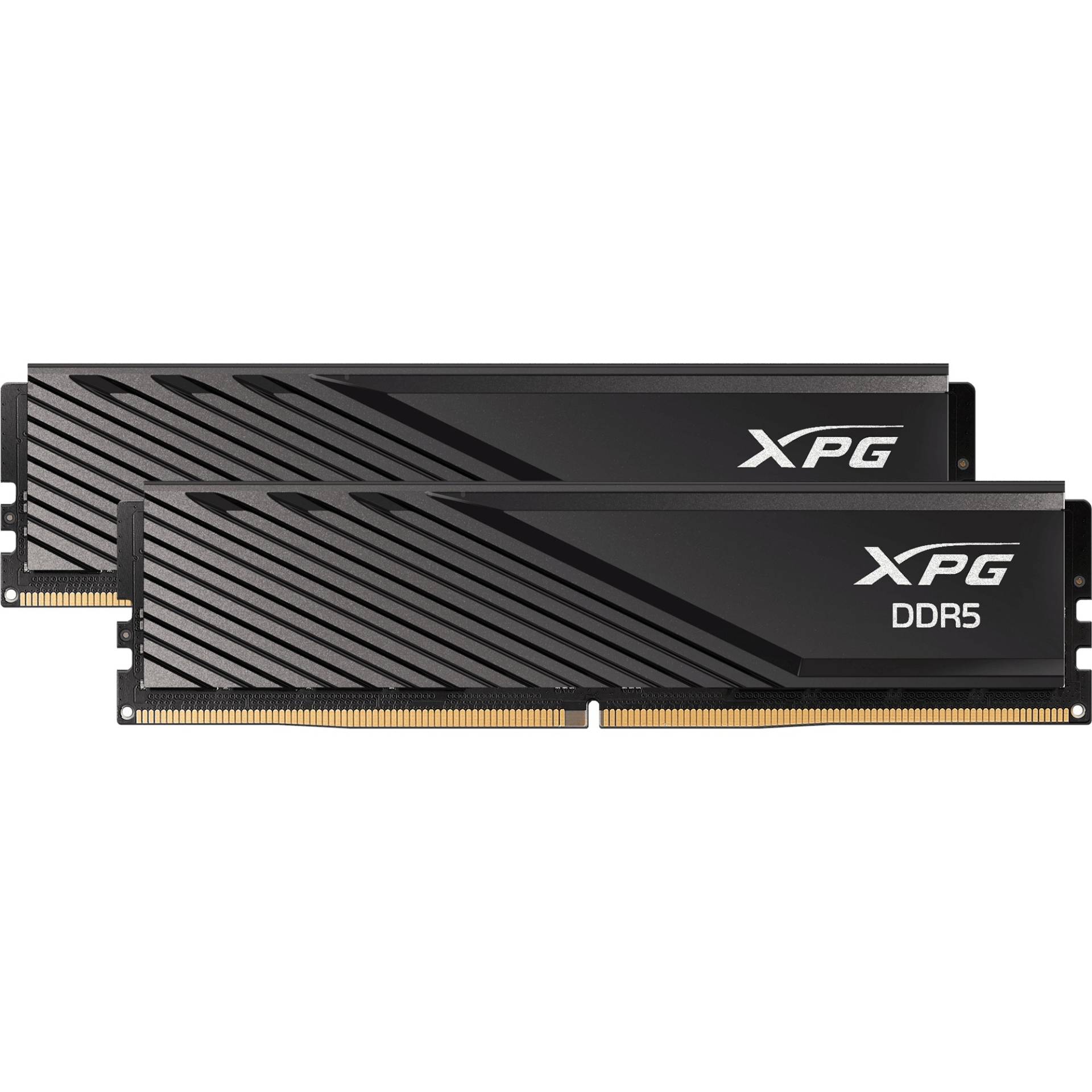 DIMM 32 GB DDR5-6000 (2x 16 GB) Dual-Kit, Arbeitsspeicher von ADATA