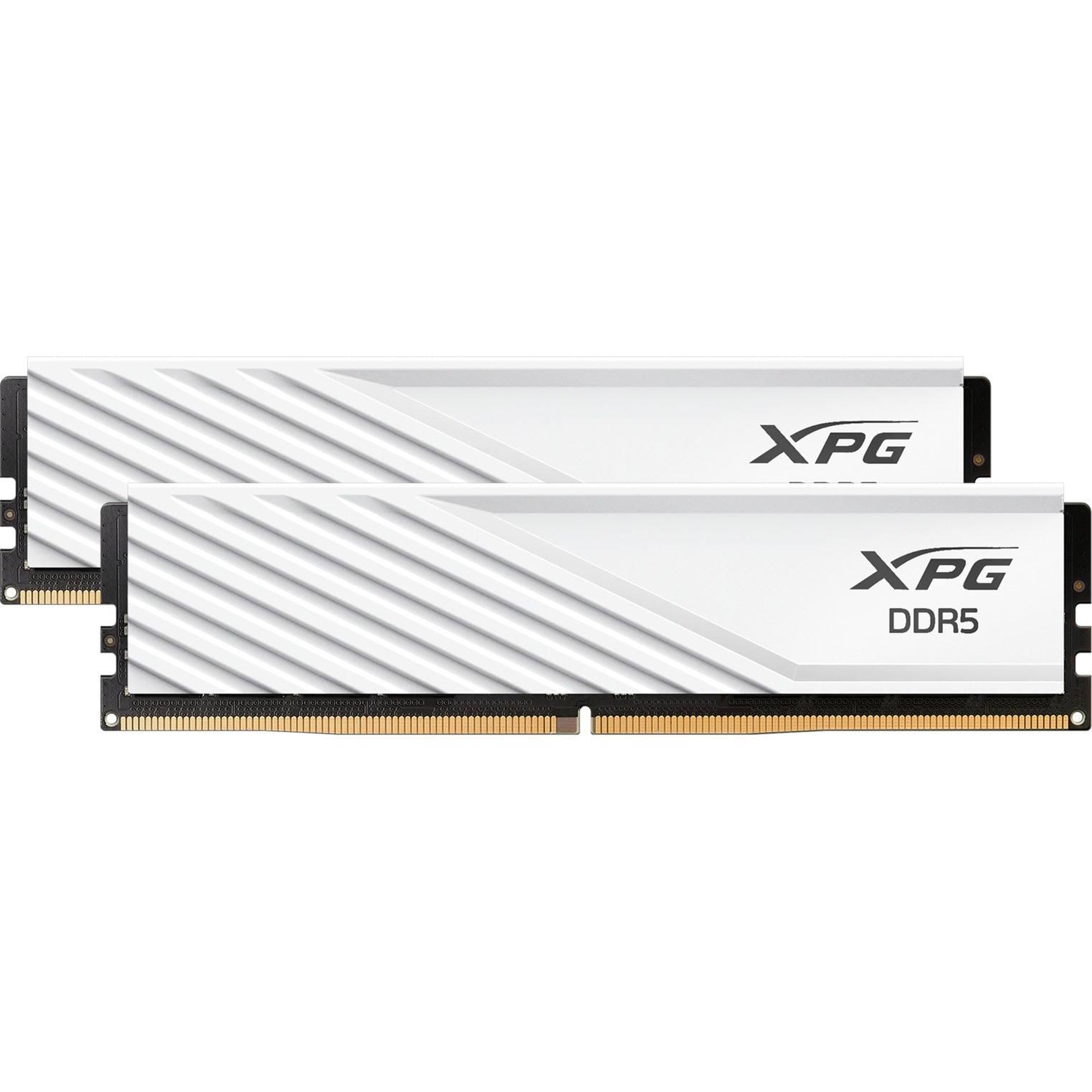 DIMM 32 GB DDR5-6000 (2x 16 GB) Dual-Kit, Arbeitsspeicher von ADATA