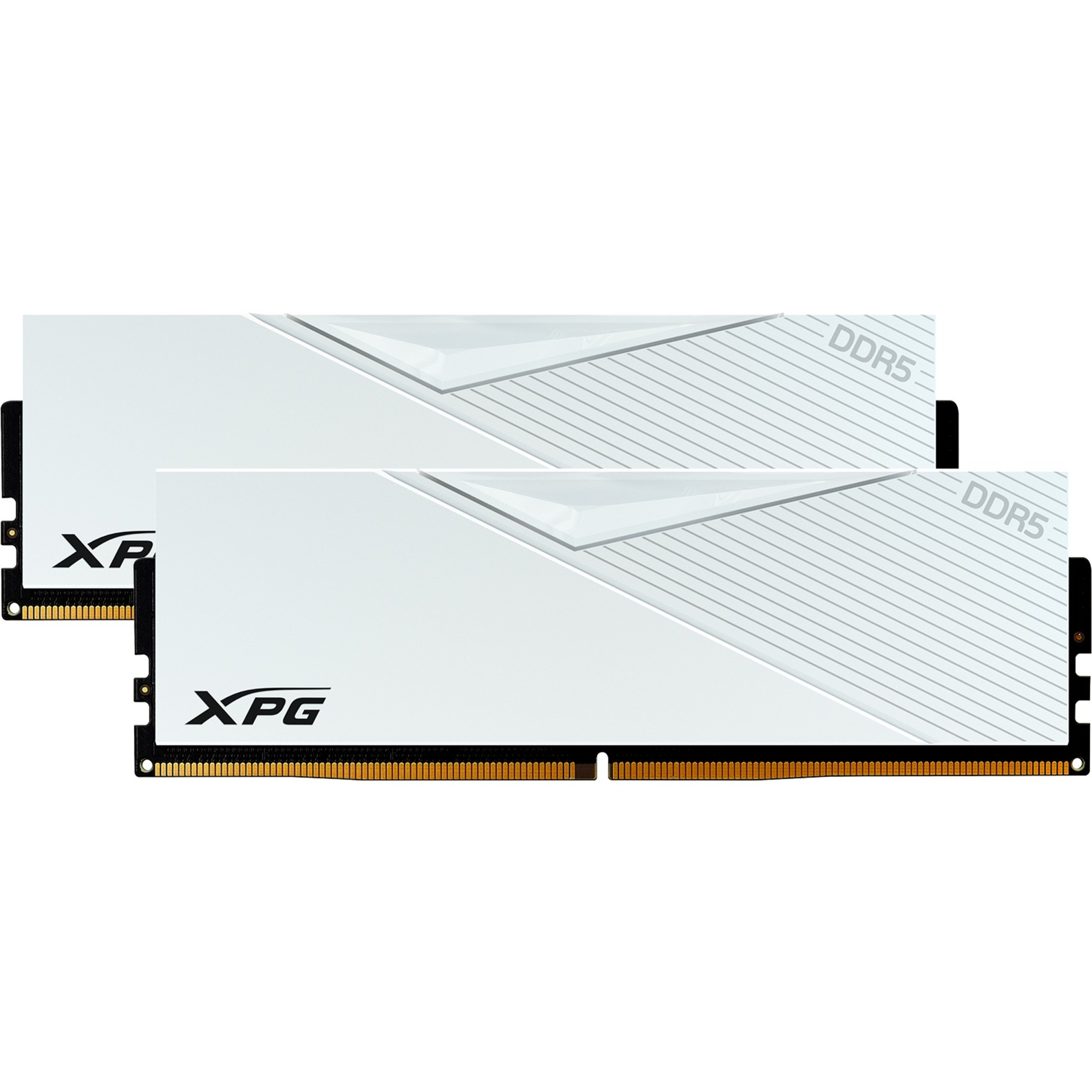 DIMM 32 GB DDR5-6400 (2x 16 GB) Dual-Kit, Arbeitsspeicher von ADATA