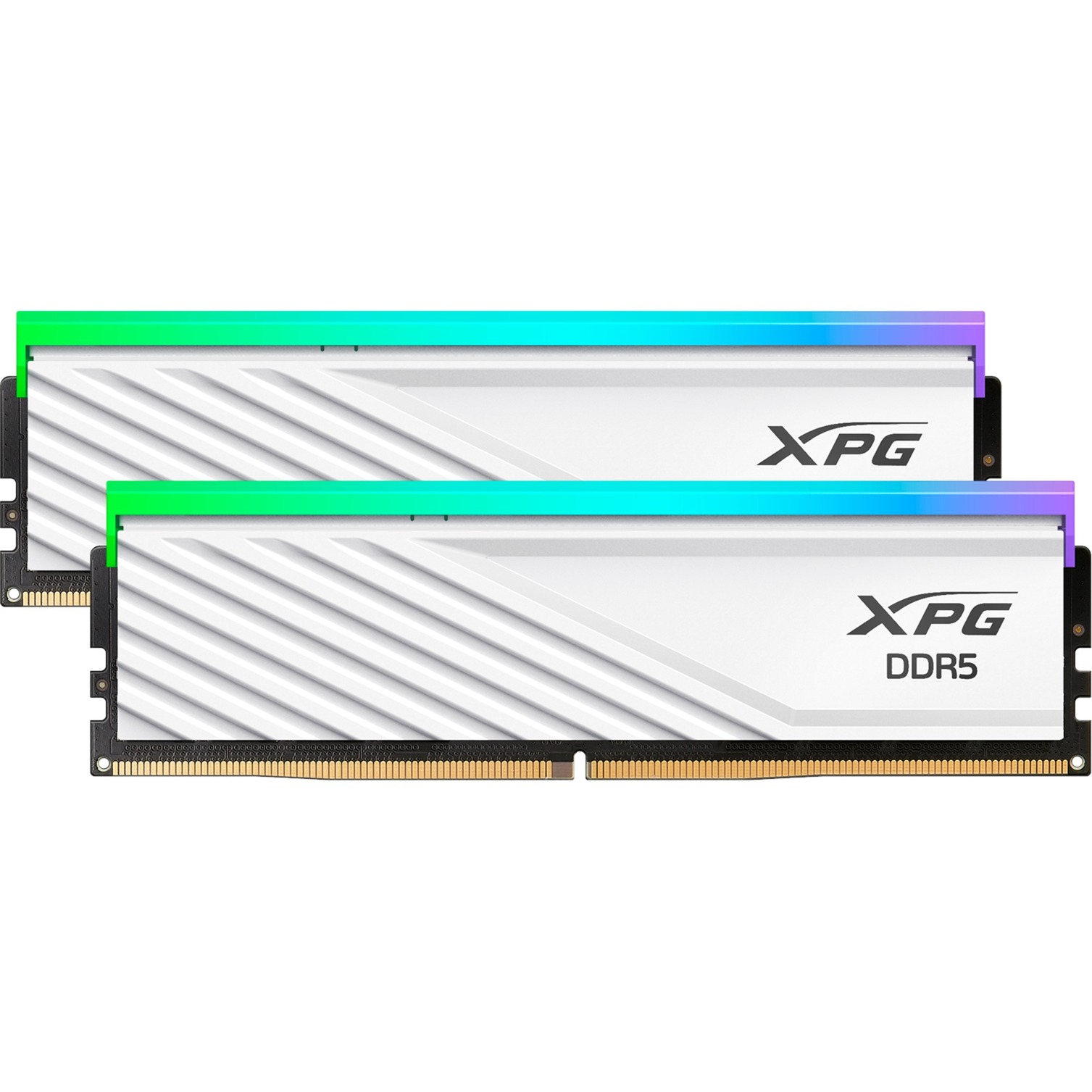 DIMM 48 GB DDR5-6000 (2x 24 GB) Dual-Kit, Arbeitsspeicher von ADATA