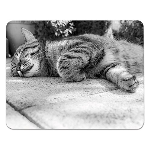 Addies Mousepad „Katzen“, schönes Mauspad mit Katzen Motiv in feiner Cellophan Geschenk-Verpackung mit Kautschuk Untermaterial, 240x190mm, Katzen Motiv-12 Addies Mousepad „Katzen“, schönes Mauspad mit Katzen Motiv in feiner Cellophan Geschenk-Verpackung mit Kautschuk Untermaterial, 240x190mm, Katzen Motiv-12 von ADDIES