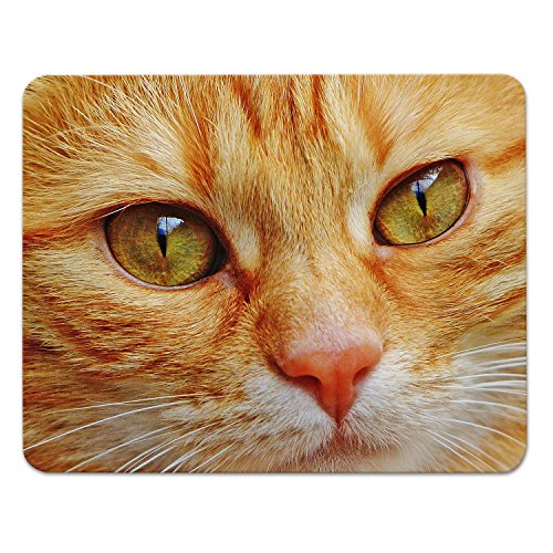 Addies Mousepad „Katzen“, schönes Mauspad mit Katzen Motiv in feiner Cellophan Geschenk-Verpackung mit Kautschuk Untermaterial, 240x190mm, Katzen Motiv-7 von ADDIES