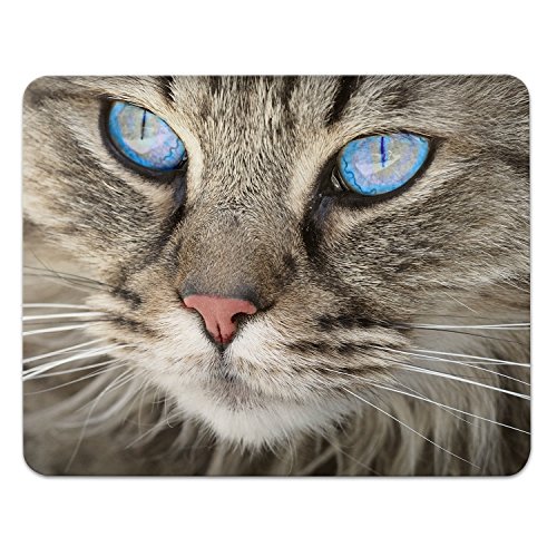 Addies Mousepad „Katzen“, schönes Mauspad mit Katzen Motiv in feiner Cellophan Geschenk-Verpackung mit Kautschuk Untermaterial, 240x190mm, Katzen Motiv-9 Addies Mousepad „Katzen“, schönes Mauspad mit Katzen Motiv in feiner Cellophan Geschenk-Verpackung mit Kautschuk Untermaterial, 240x190mm, Katzen Motiv-9 von ADDIES