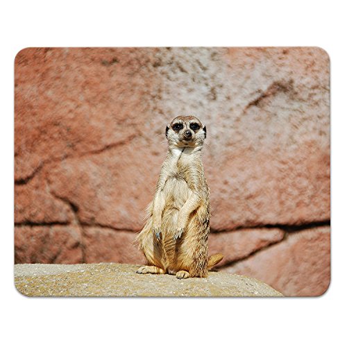 Addies Mousepad ERDMÄNNCHEN Motiv-01, schönes Mauspad Motiv in feiner Cellophan Geschenk-Verpackung mit Kautschuk Untermaterial, 240x190mm Tierwelt Addies Mousepad ERDMÄNNCHEN Motiv-01, schönes Mauspad Motiv in feiner Cellophan Geschenk-Verpackung mit Kautschuk Untermaterial, 240x190mm Tierwelt von ADDIES