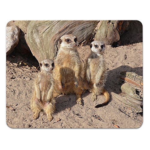 Addies Mousepad ERDMÄNNCHEN Motiv-03, schönes Mauspad Motiv in feiner Cellophan Geschenk-Verpackung mit Kautschuk Untermaterial, 240x190mm Tierwelt von ADDIES