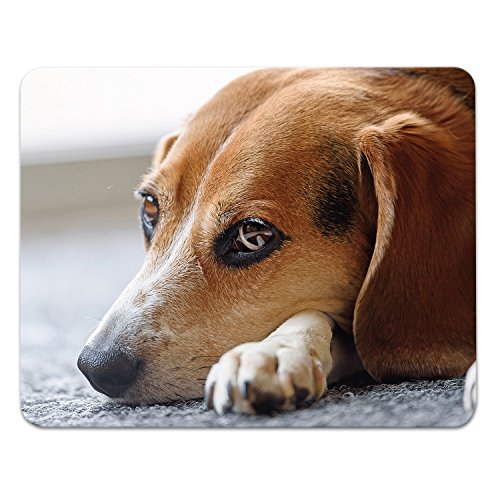 Addies Mousepad "HUNDE CLOSE UP", schönes Mauspad mit Hunde Motiv in feiner Cellophan Geschenk-Verpackung mit Kautschuk Untermaterial, 240x190mm, Hundemotiv-1 Addies Mousepad "HUNDE CLOSE UP", schönes Mauspad mit Hunde Motiv in feiner Cellophan Geschenk-Verpackung mit Kautschuk Untermaterial, 240x190mm, Hundemotiv-1 von ADDIES