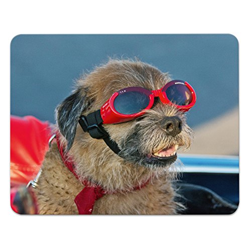 Addies Mousepad "HUNDE CLOSE UP", schönes Mauspad mit Hunde Motiv in feiner Cellophan Geschenk-Verpackung mit Kautschuk Untermaterial, 240x190mm, Hundemotiv-19 von ADDIES