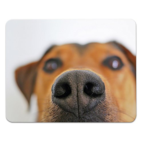 Addies Mousepad "HUNDE CLOSE UP", schönes Mauspad mit Hunde Motiv in feiner Cellophan Geschenk-Verpackung mit Kautschuk Untermaterial, 240x190mm, Hundemotiv-8 Addies Mousepad "HUNDE CLOSE UP", schönes Mauspad mit Hunde Motiv in feiner Cellophan Geschenk-Verpackung mit Kautschuk Untermaterial, 240x190mm, Hundemotiv-8 von ADDIES