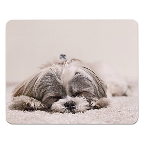 Addies Mousepad "HUNDE CLOSE UP", schönes Mauspad mit Hunde Motiv in feiner Cellophan Geschenk-Verpackung mit Kautschuk Untermaterial, 240x190mm, Hundemotiv-9 Addies Mousepad "HUNDE CLOSE UP", schönes Mauspad mit Hunde Motiv in feiner Cellophan Geschenk-Verpackung mit Kautschuk Untermaterial, 240x190mm, Hundemotiv-9 von ADDIES