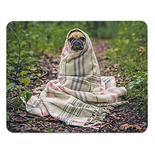 Addies Mousepad HUNDE MOPS, schönes Mauspad Motiv in feiner Cellophan Geschenk-Verpackung mit Kautschuk Untermaterial, 240x190mm Haustiere Addies Mousepad HUNDE MOPS, schönes Mauspad Motiv in feiner Cellophan Geschenk-Verpackung mit Kautschuk Untermaterial, 240x190mm Haustiere von ADDIES