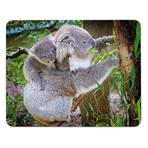 Addies Mousepad KOALA Variante-01, schönes Mauspad Motiv in feiner Cellophan Geschenk-Verpackung mit Kautschuk Untermaterial, 240x190mm Tier-Motiv Addies Mousepad KOALA Variante-01, schönes Mauspad Motiv in feiner Cellophan Geschenk-Verpackung mit Kautschuk Untermaterial, 240x190mm Tier-Motiv von ADDIES