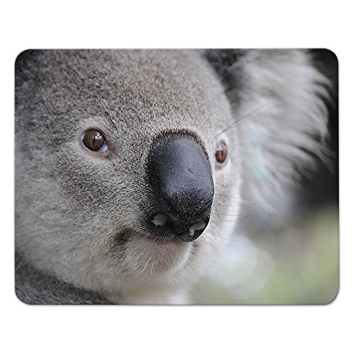 Addies Mousepad KOALA Variante-02, schönes Mauspad Motiv in feiner Cellophan Geschenk-Verpackung mit Kautschuk Untermaterial, 240x190mm Tiere von ADDIES