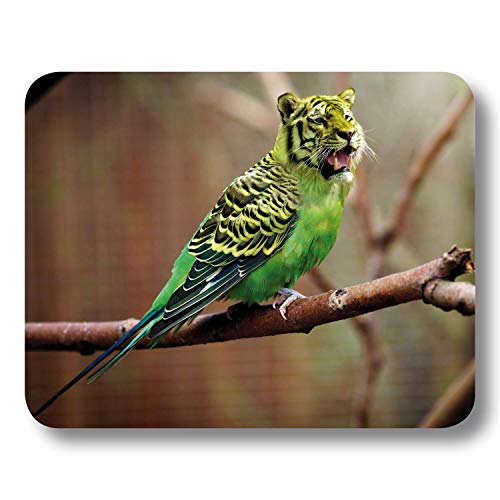 Addies Mousepad Lustig „Tiger Wellensittich“, schönes Mauspad Motiv in feiner Cellophan Geschenk-Verpackung mit Kautschuk Untermaterial, 240x190mm Addies Mousepad Lustig „Tiger Wellensittich“, schönes Mauspad Motiv in feiner Cellophan Geschenk-Verpackung mit Kautschuk Untermaterial, 240x190mm von ADDIES
