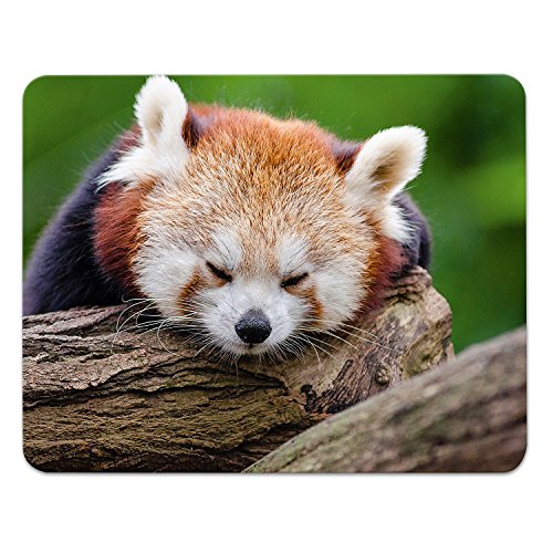 Addies Mousepad PANDA Design-06, schönes Mauspad Motiv in feiner Cellophan Geschenk-Verpackung mit Kautschuk Untermaterial, 240x190mm Tier-Motiv Addies Mousepad PANDA Design-06, schönes Mauspad Motiv in feiner Cellophan Geschenk-Verpackung mit Kautschuk Untermaterial, 240x190mm Tier-Motiv von ADDIES