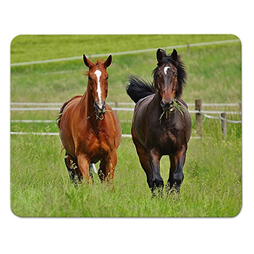 Addies Mousepad Pferde Motiv-06, schönes Mauspad Motiv in feiner Cellophan Geschenk-Verpackung mit Kautschuk Untermaterial, 240x190mm Tierwelt Addies Mousepad Pferde Motiv-06, schönes Mauspad Motiv in feiner Cellophan Geschenk-Verpackung mit Kautschuk Untermaterial, 240x190mm Tierwelt von ADDIES