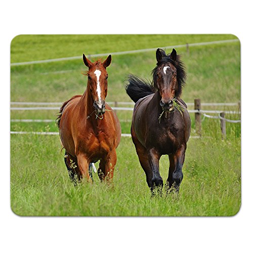 Addies Mousepad Pferde Motiv-06, schönes Mauspad Motiv in feiner Cellophan Geschenk-Verpackung mit Kautschuk Untermaterial, 240x190mm Tierwelt von ADDIES