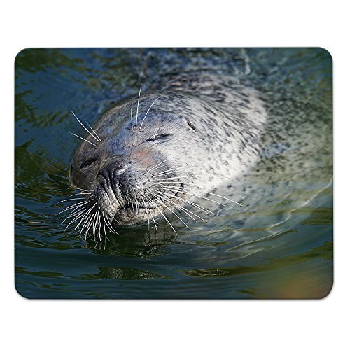 Addies Mousepad ROBBEN Motiv-01, schönes Mauspad Motiv in feiner Cellophan Geschenk-Verpackung mit Kautschuk Untermaterial, 240x190mm Seehunde Addies Mousepad ROBBEN Motiv-01, schönes Mauspad Motiv in feiner Cellophan Geschenk-Verpackung mit Kautschuk Untermaterial, 240x190mm Seehunde von ADDIES
