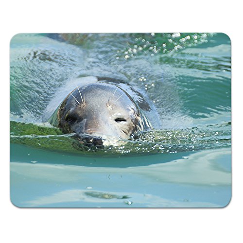 Addies Mousepad Robben Motiv-04, schönes Mauspad Motiv in feiner Cellophan Geschenk-Verpackung mit Kautschuk Untermaterial, 240x190mm Seehunde Addies Mousepad Robben Motiv-04, schönes Mauspad Motiv in feiner Cellophan Geschenk-Verpackung mit Kautschuk Untermaterial, 240x190mm Seehunde von ADDIES