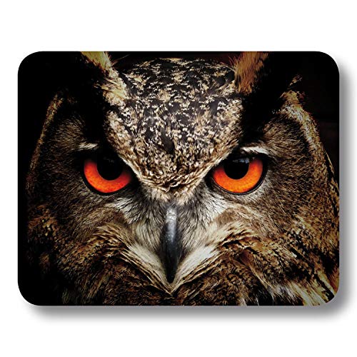 Addies Mousepad Tiere „Eule“, schönes Mauspad Motiv in feiner Cellophan Geschenk-Verpackung mit Kautschuk Untermaterial, 240x190mm von ADDIES