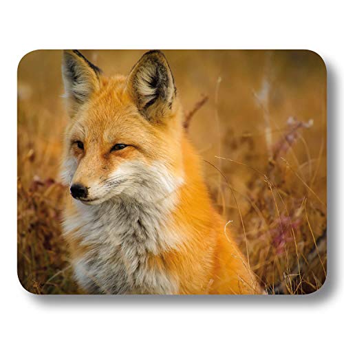 Addies Mousepad Tiere „Fuchs“, schönes Mauspad Motiv in feiner Cellophan Geschenk-Verpackung mit Kautschuk Untermaterial, 240x190mm von ADDIES