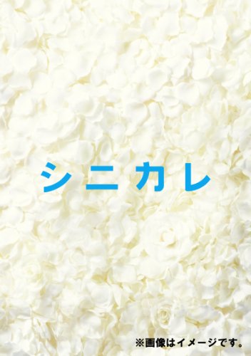 Shinikare Kanzen Ban Dvd-Box [DVD-AUDIO] von ADSAQOP