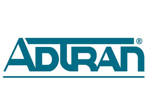 Adtran RS-366 Y Netzwerkkabel Grau von ADTRAN